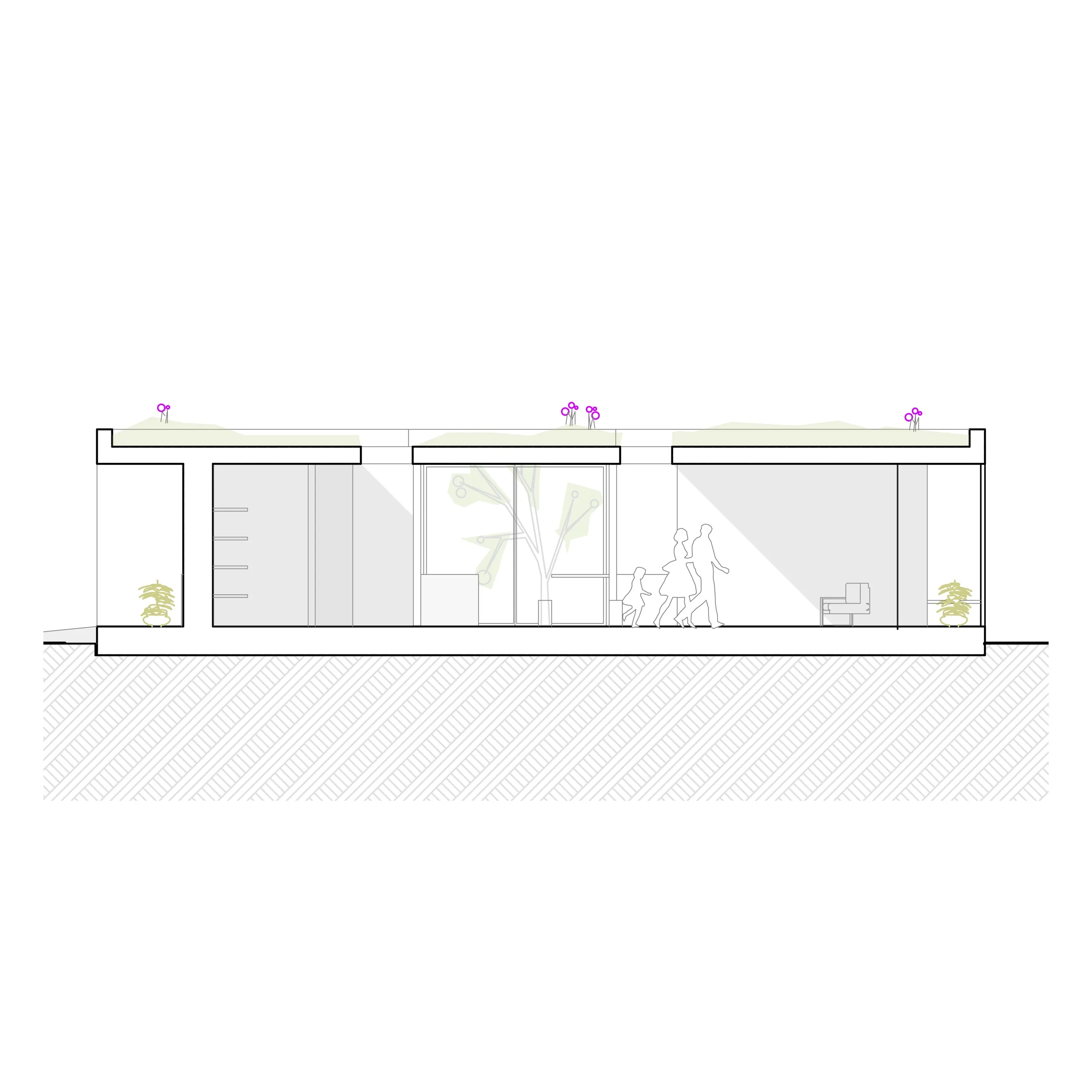 patio house, residential, eckartsau, lower austria — ansicht 4